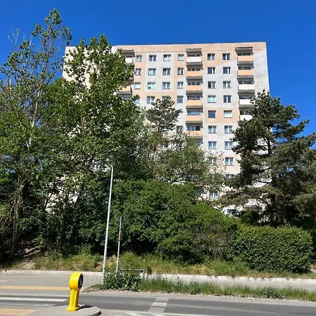 Malina * グディニャ